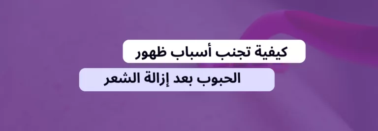 الرئيسية 3