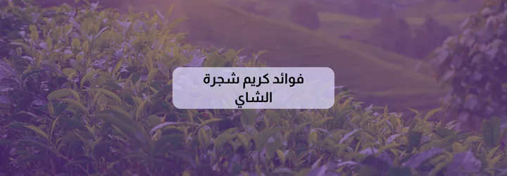 فوائد كريم شجرة الشاي 1